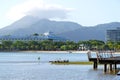 Pelicans in water near Cairns Royalty Free Stock Photo