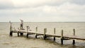 Pelicans Resting on a Fishing Pier