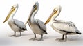 pelicans on a white background. AI Generative