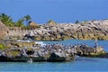 Pelicans in X-Caret park