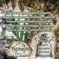 Pelinarita vintage herbalist notebook pages with herbs benefits in Ro language