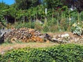 Pelion Village Garden, Tomatoes and Firewood, Greece Royalty Free Stock Photo