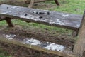 Pellet and droppings of a barn owl Royalty Free Stock Photo