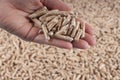 Pellets- biomass Royalty Free Stock Photo