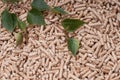 Pellets- biomass Royalty Free Stock Photo