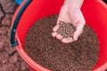 Pellets food for feeding fish on hand