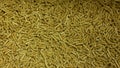 Pellets fuel spruce sawdust into delivery strew bio wooden pallets biofuels made from compressed matter organic biomass, Royalty Free Stock Photo