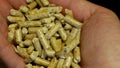 Pellets fuel spruce sawdust in hand into delivery strew bio wooden pallets biofuels made compressed matter organic biomass, Royalty Free Stock Photo