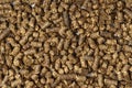 Pellets from sunflower meal