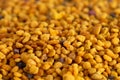 Pellets of Yellow Bee Pollen Royalty Free Stock Photo