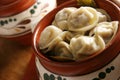 Russian pelmeni. Royalty Free Stock Photo