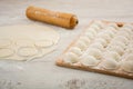 Pelmeni - Russian cuisine, meat dumplings Royalty Free Stock Photo