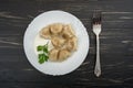 Pelmeni - Russian cuisine, meat dumplings Royalty Free Stock Photo