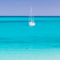 Pelosa beach, Sardinia, Italy. Royalty Free Stock Photo