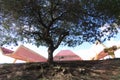 pelotas bus station, south of brazil, building of beautiful asian architecture in front of a wooded square