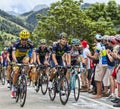 The Peloton on Alpe D'Huez