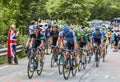 The Peloton on Alpe D'Huez