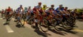 Peloton of bicycle riders during a race Royalty Free Stock Photo