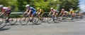 Peloton of bicycle riders in a race in motion Royalty Free Stock Photo