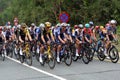 The peloton climbs CÃ´te de San Juan de Gaztelugatxe on stage 1 of the 2023 Tour de France