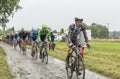 The Peloton on a Cobblestone Road - Tour de France 2014