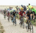 The Peloton on a Cobblestone Road - Tour de France 2015