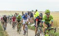 The Peloton on a Cobblestone Road - Tour de France 2015