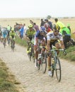 The Peloton on a Cobblestone Road - Tour de France 2015