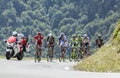 The Peloton on Col d'Aspin - Tour de France 2015