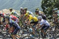 The Peloton on Col d'Aspin - Tour de France 2015