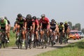 A peloton of cyclists is racing over the road in the dutch countryside in summer
