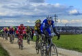 The Peloton on a Dirty Road - Paris-Nice 2016