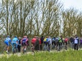 The Peloton on a Dirty Road - Paris-Nice 2016