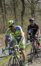 The Peloton in The Forest of Arenberg- Paris Roubaix 2015