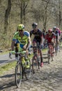 The Peloton in The Forest of Arenberg- Paris Roubaix 2015