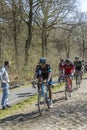 The Peloton in The Forest of Arenberg- Paris Roubaix 2015 Royalty Free Stock Photo