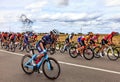 The Peloton - Le Tour de France femmes 2022 Royalty Free Stock Photo