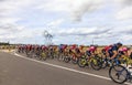 The Peloton - Le Tour de France femmes 2022 Royalty Free Stock Photo
