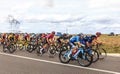 The Peloton - Le Tour de France femmes 2022 Royalty Free Stock Photo