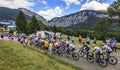 The Peloton - Le Tour de France 2023