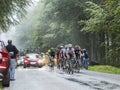 The Peloton in a Misty Day