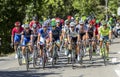 The Peloton on Mont Ventoux - Tour de France 2016 Royalty Free Stock Photo