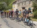 The Peloton on Mont Ventoux - Tour de France 2016 Royalty Free Stock Photo