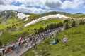 The Peloton in Mountains Royalty Free Stock Photo