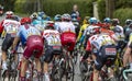 The Peloton - Paris-Nice 2019