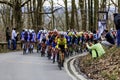 The Peloton - Paris-Nice 2024