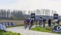 The Peloton - Paris-Roubaix 2023