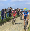 The Peloton- Paris Roubaix 2014