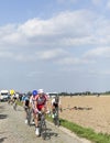 The Peloton- Paris Roubaix 2014 Royalty Free Stock Photo
