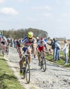 The Peloton- Paris Roubaix 2015